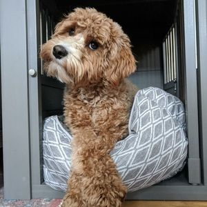 Meet your Posher, Tara